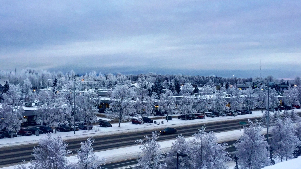 Photo of Others in Midtown Anchorage
