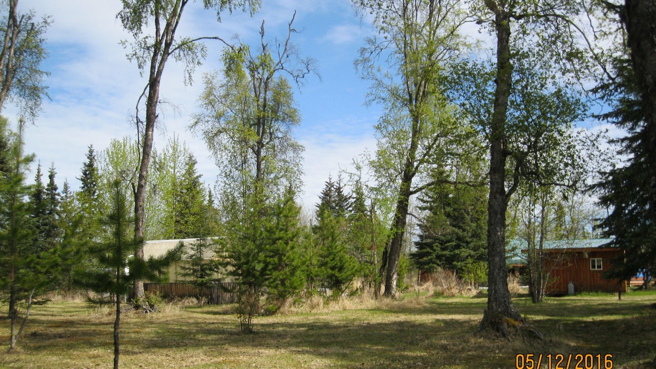 Photo of Outdoor in Ninilchik
