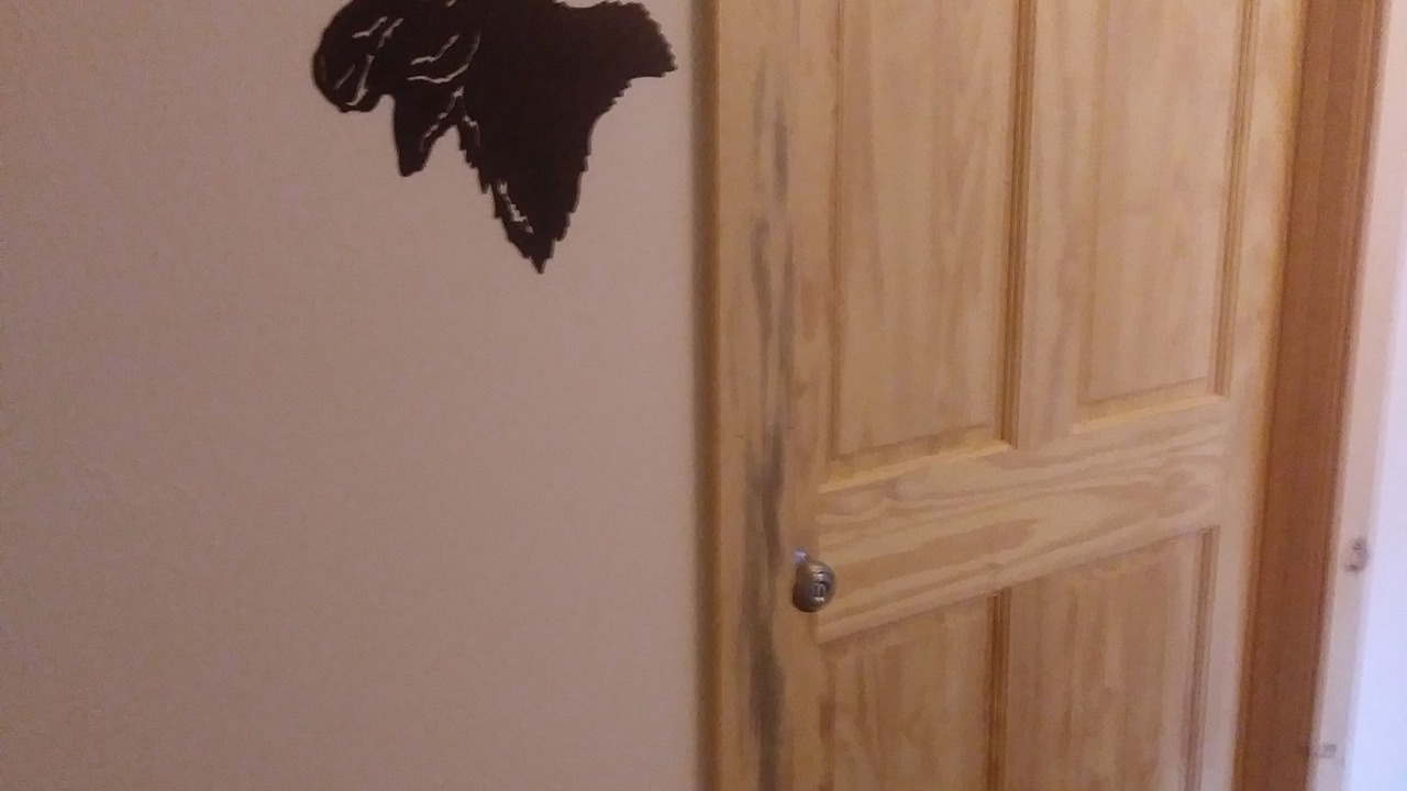 Photo of Bedroom in Ninilchik