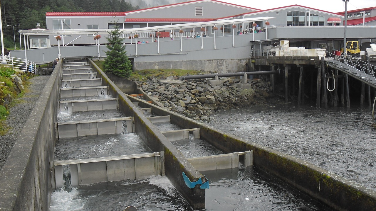 Photo of Others in Downtown Juneau
