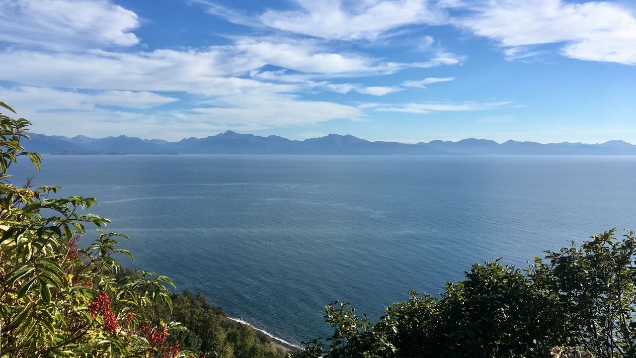 Photo of Others in Homer
