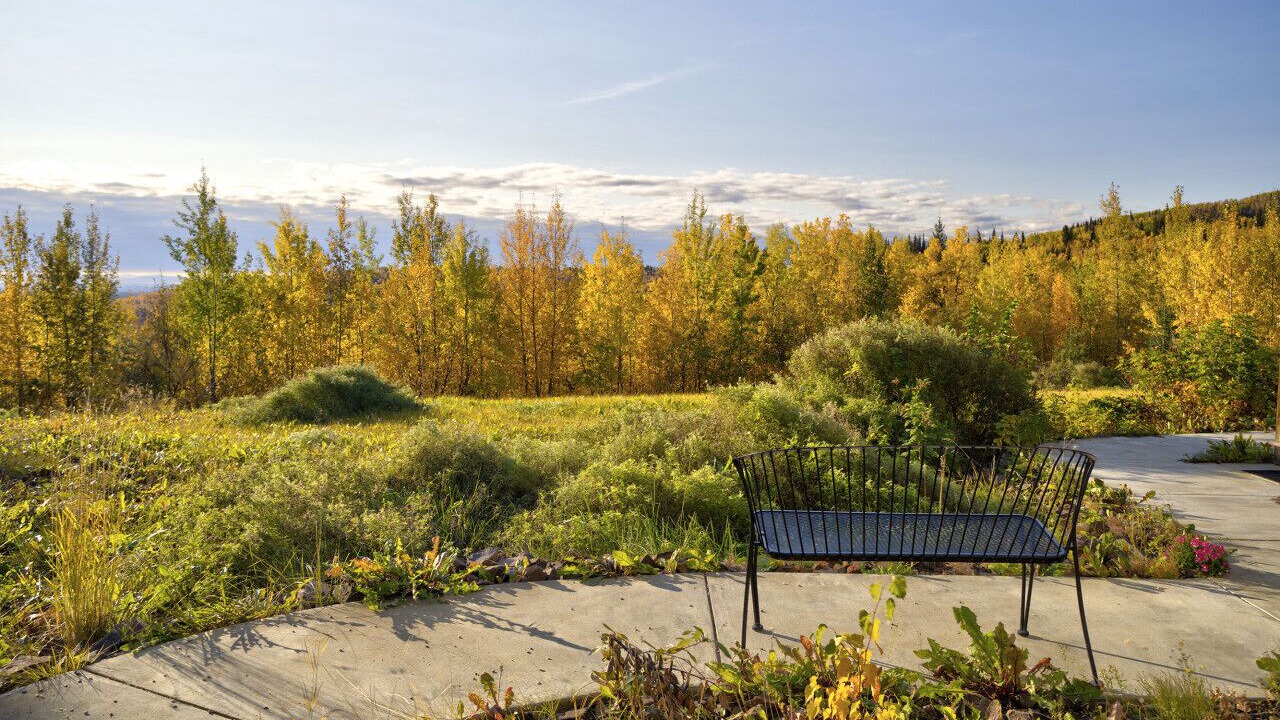 Photo of Others in Fairbanks