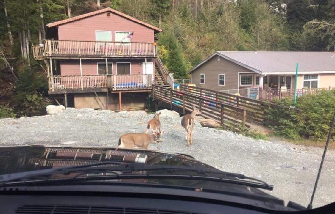 Photo of Outdoor in Ketchikan
