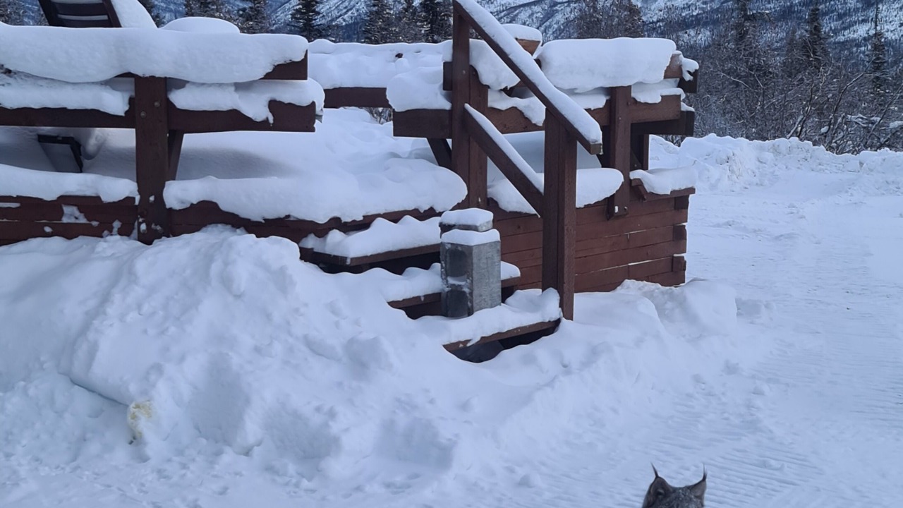Photo of Outdoor in Glacier View