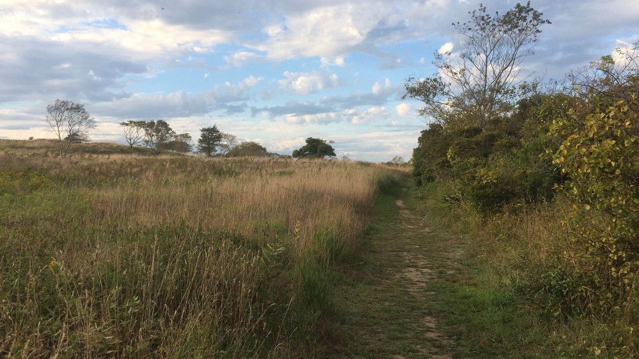 Photo of Outdoor in Block Island