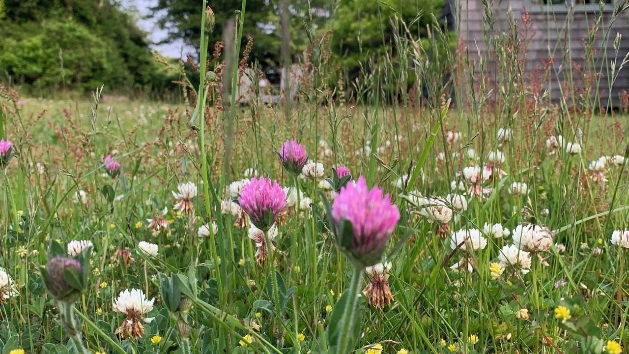 Photo of Outdoor in Block Island
