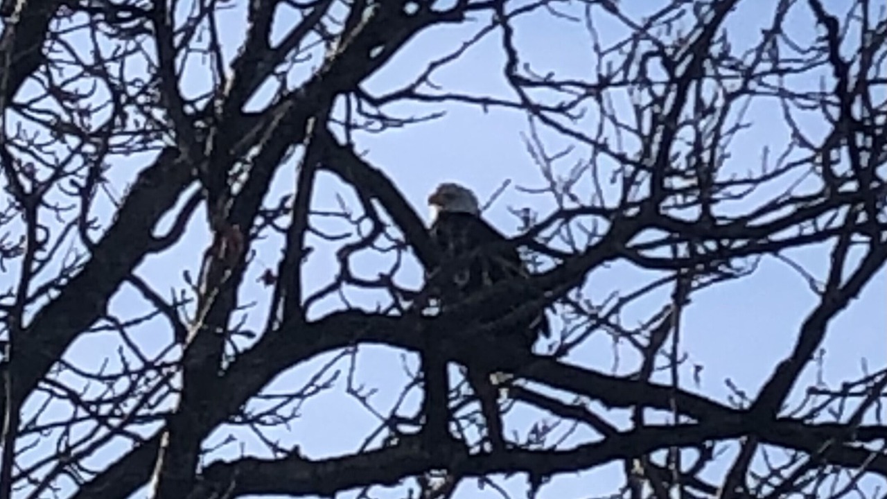 Photo of Others in Wasilla