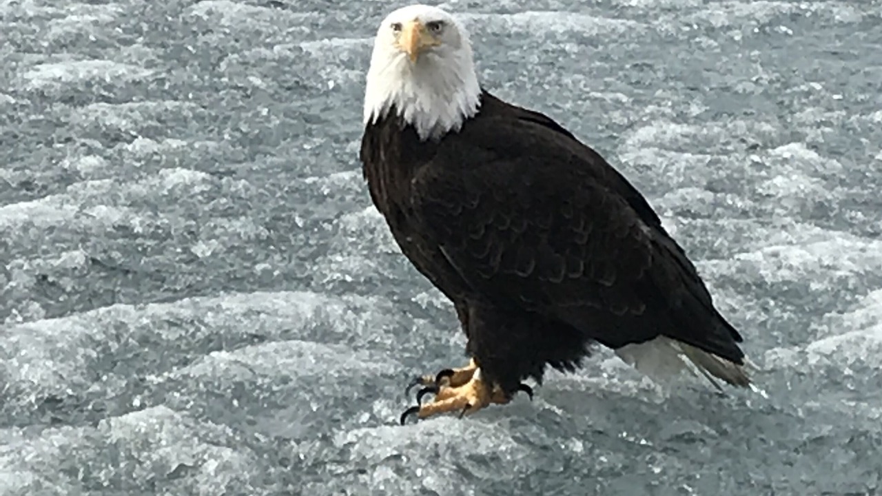 Photo of Others in Wasilla