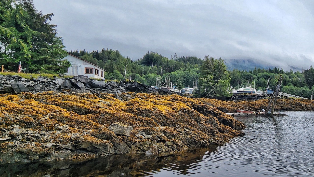 Photo of Others in Ketchikan