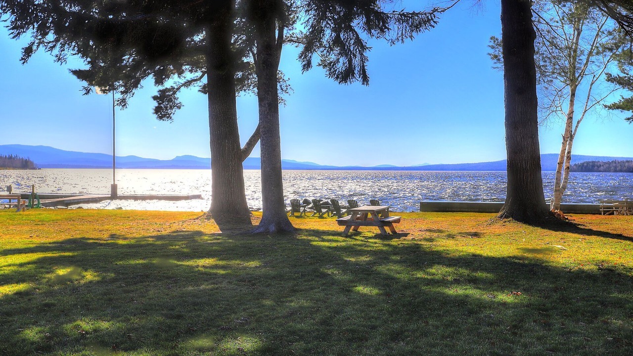 Photo of Others in Rangeley
