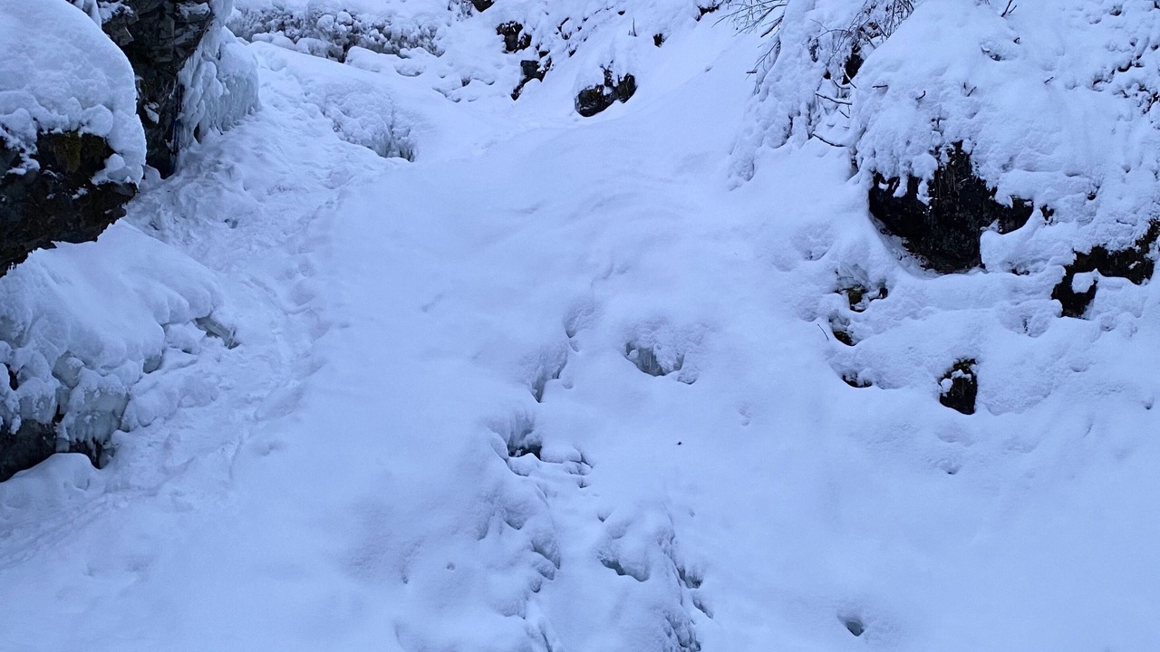 Photo of Others in Chugiak