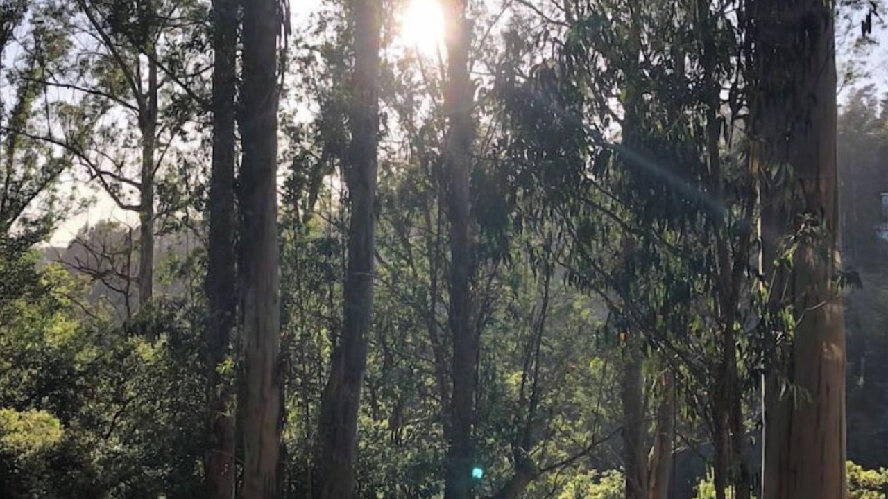 Photo of Outdoor in Shepherd Canyon
