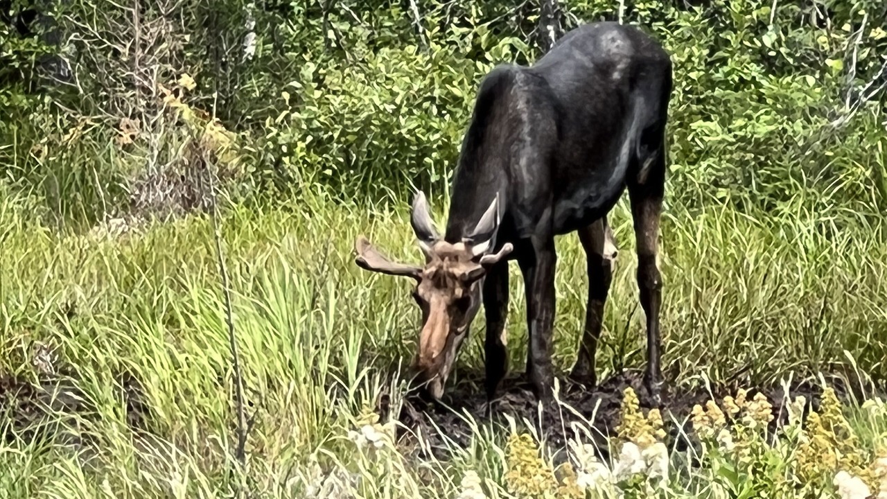 Photo of Outdoor in Franklin County