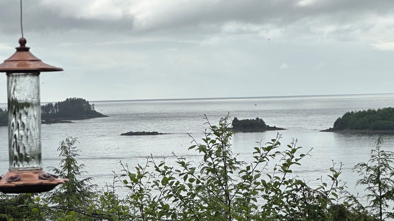 Photo of Others in Sitka