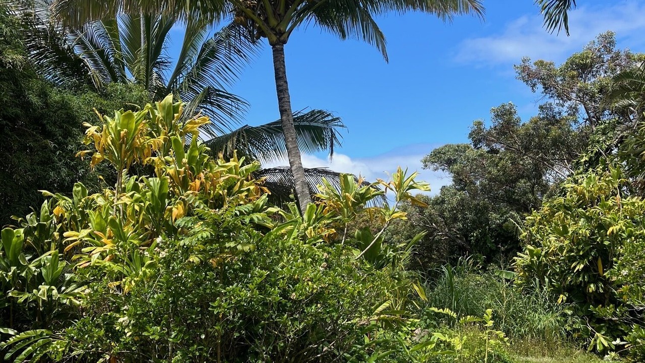 Photo of Outdoor in Pauwela