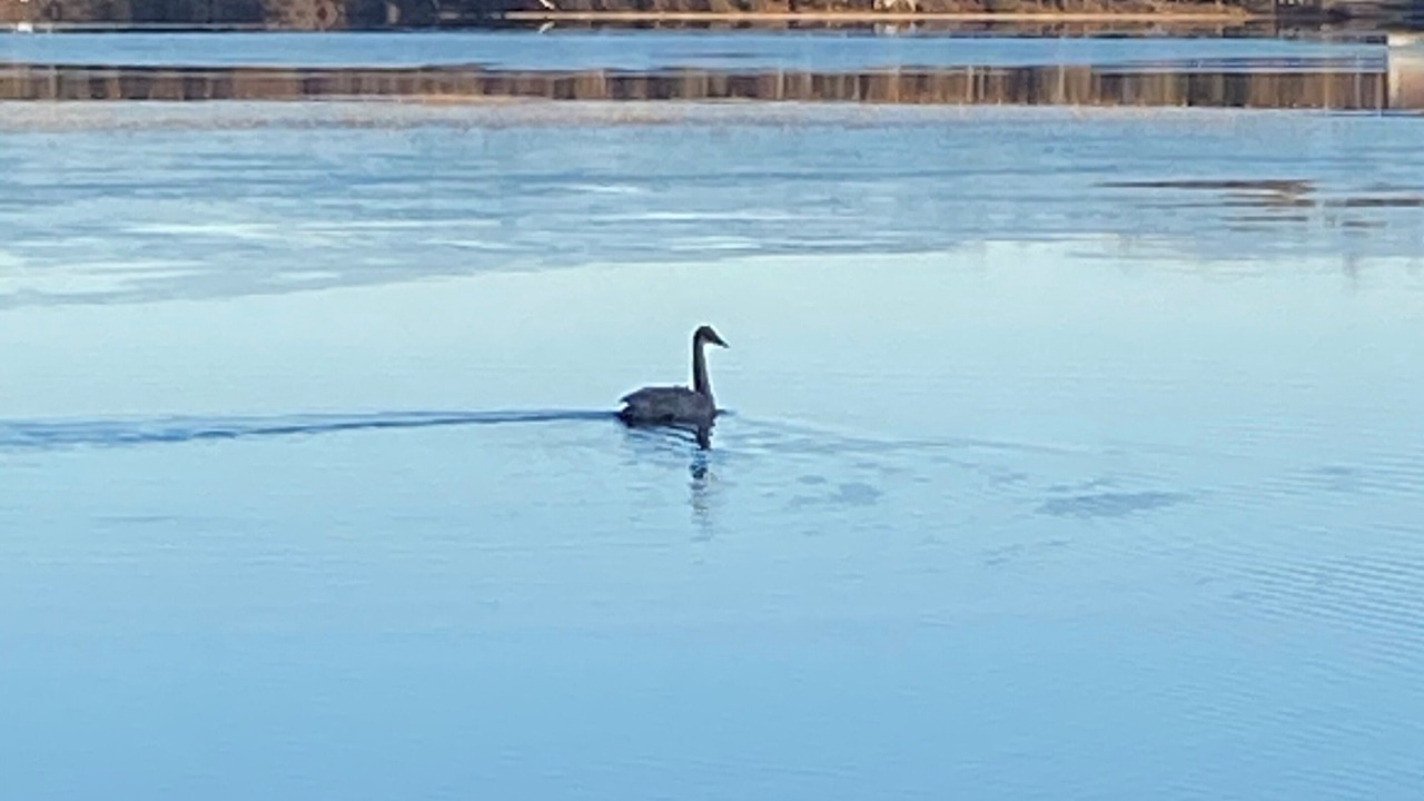 Photo of Others in Nikiski