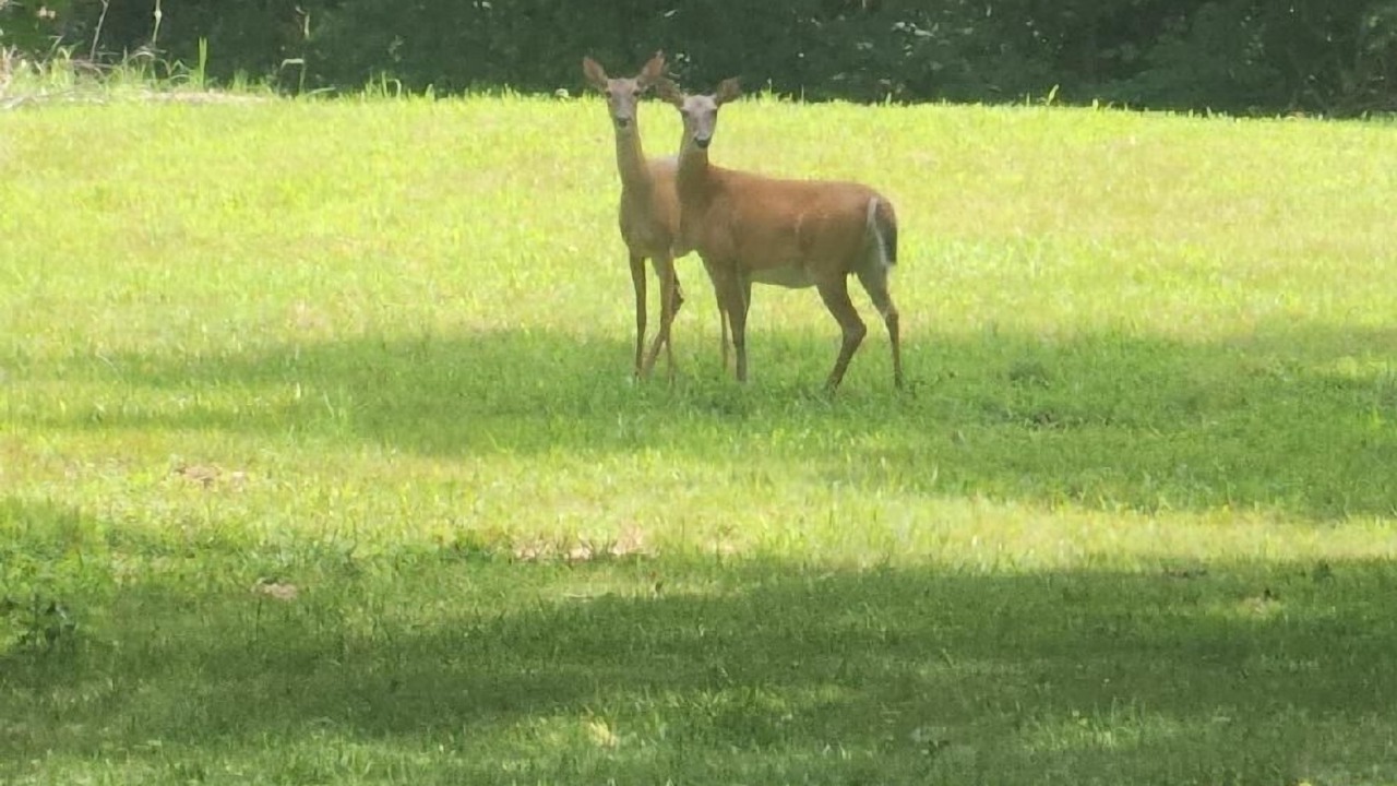 Photo of Others in Omaha