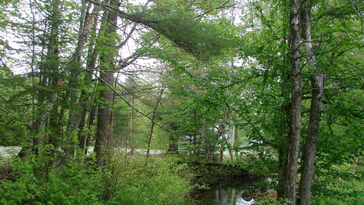 Photo of Outdoor in Madison