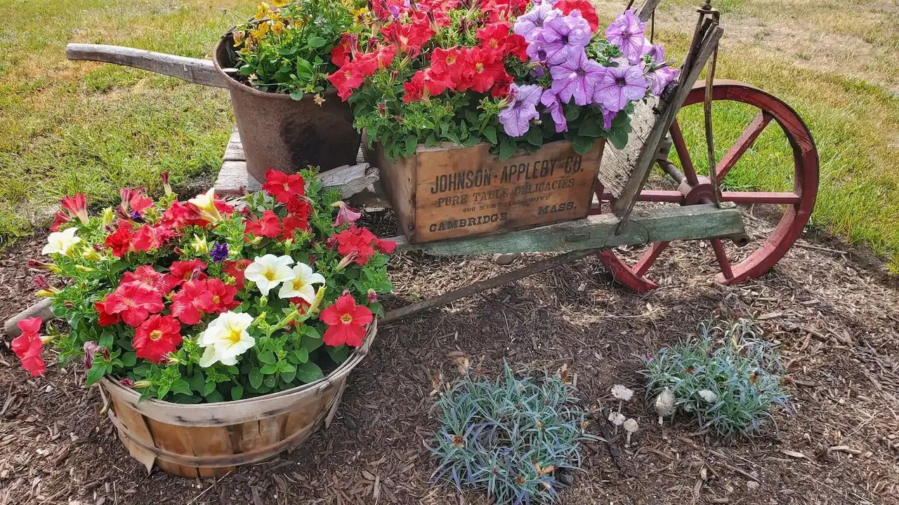Photo of Outdoor in Eustis