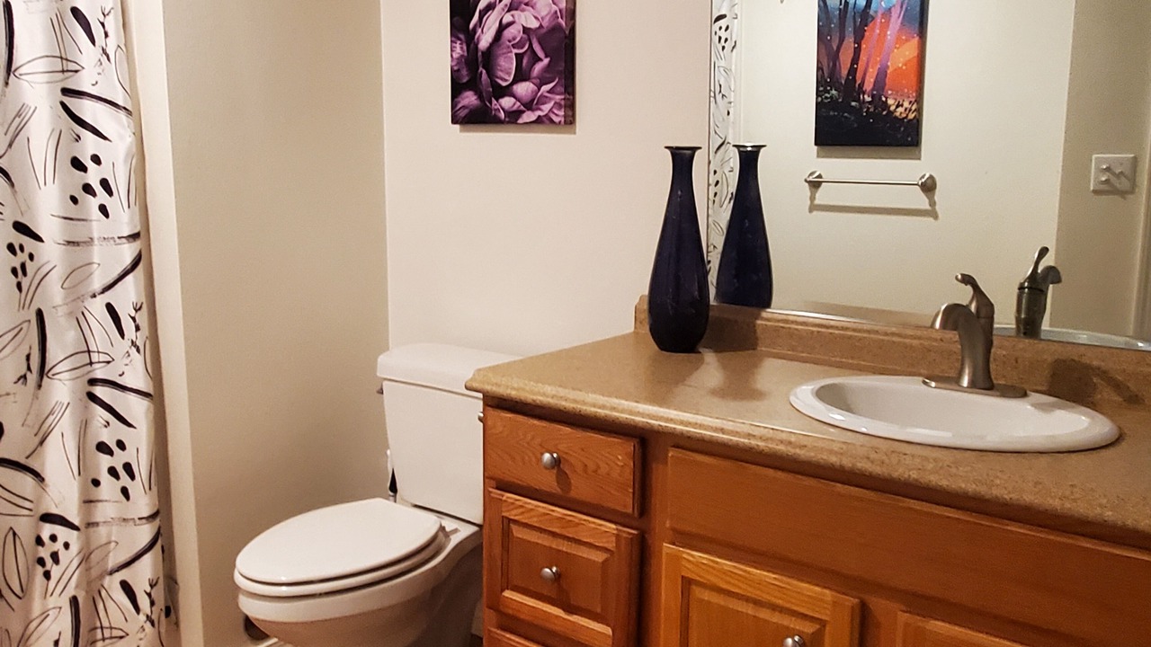 Photo of Bathroom in Meadow Lakes