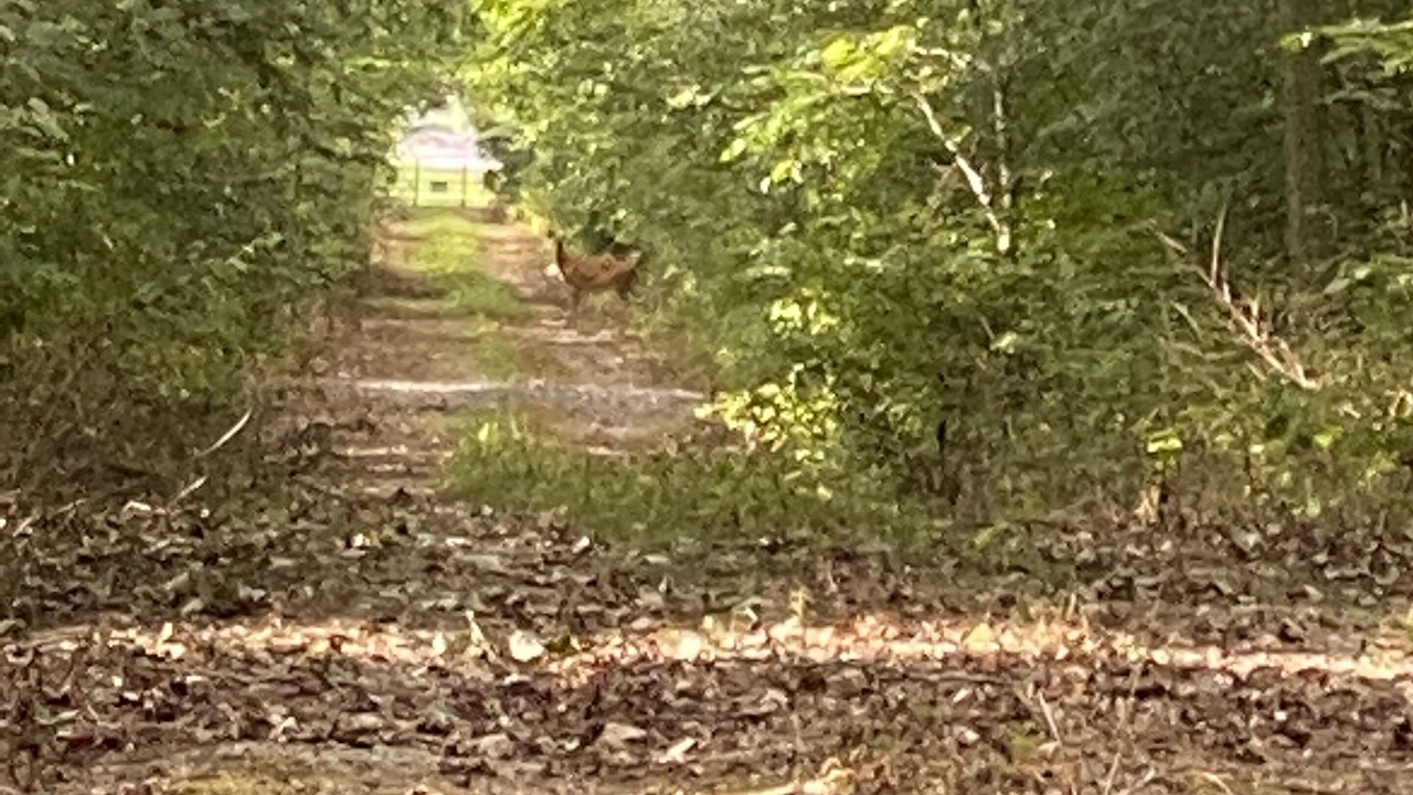 Photo of Outdoor in Marysville