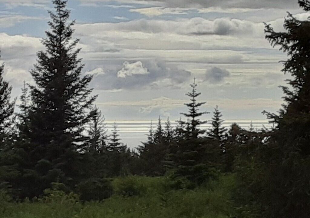 Photo of Others in Diamond Ridge