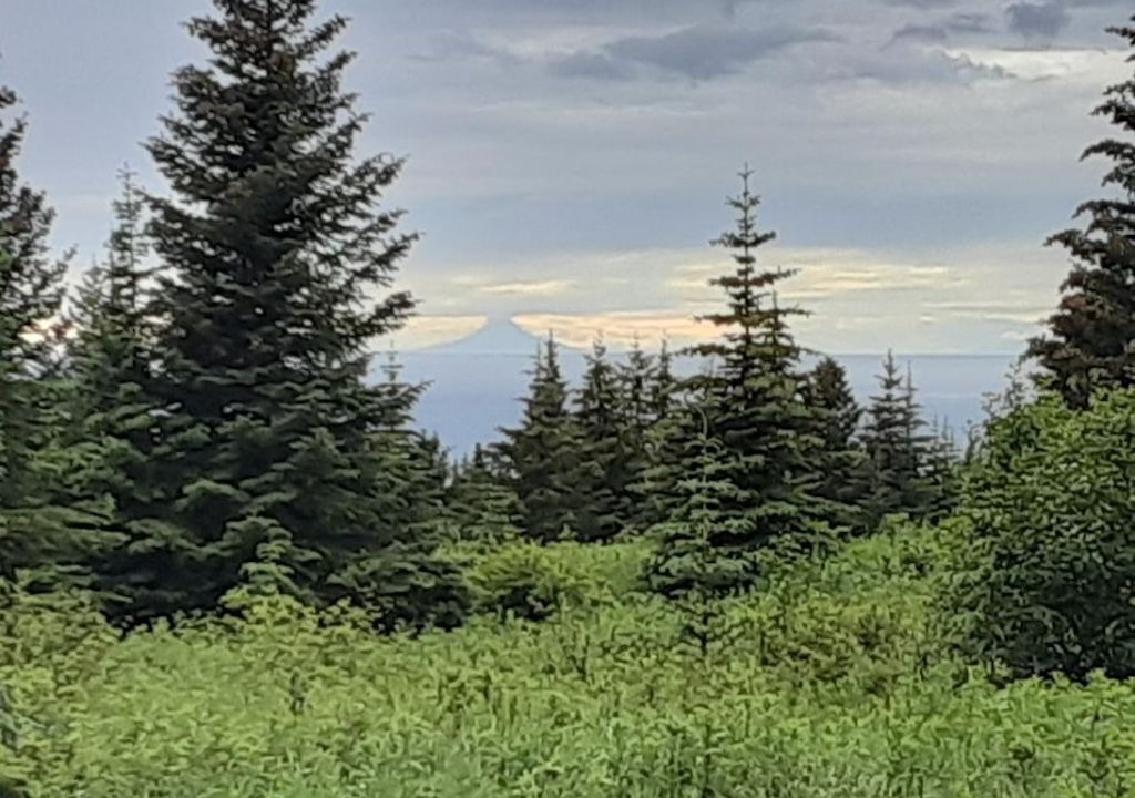 Photo of Others in Diamond Ridge