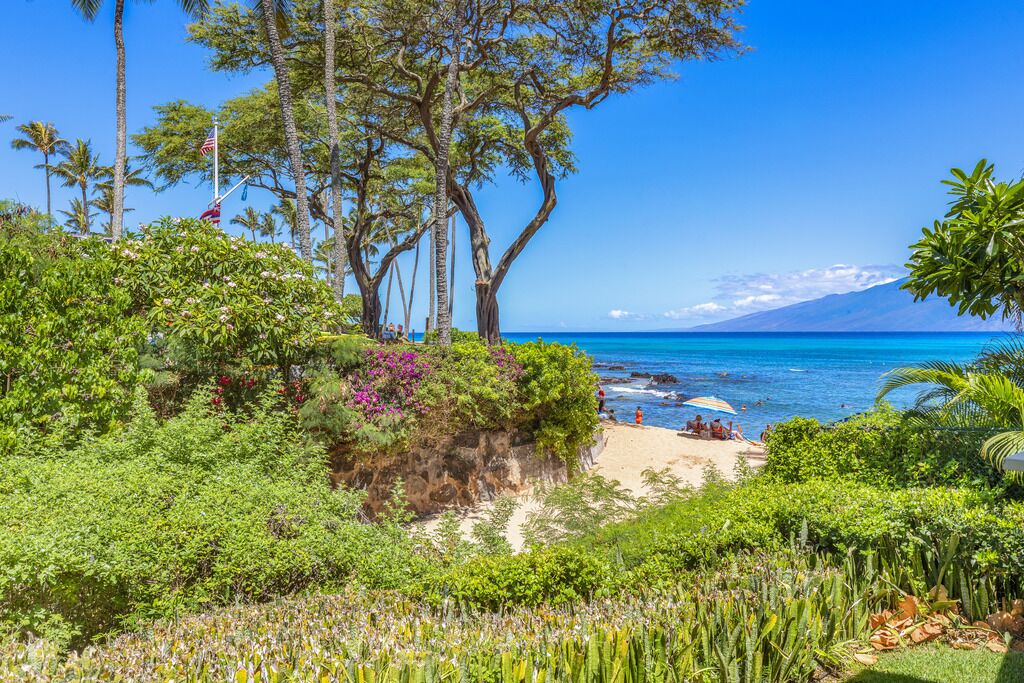 Photo of Others in Napili