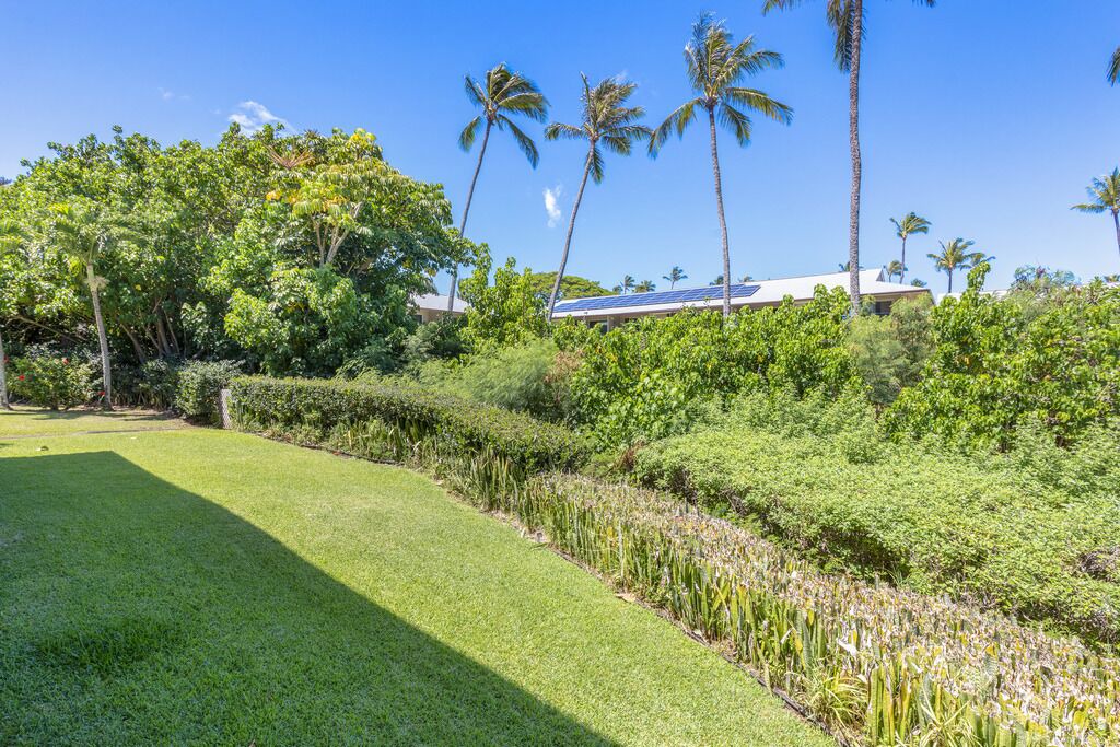 Photo of Others in Napili