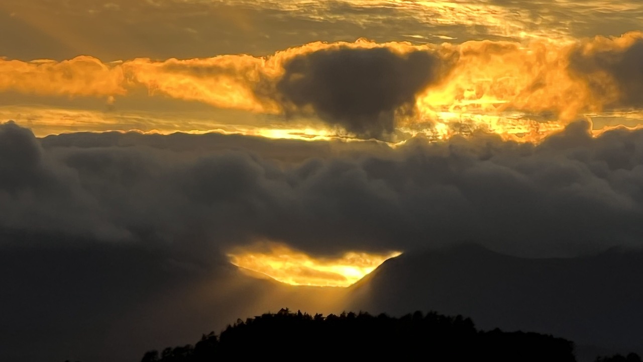 Photo of Others in Sitka