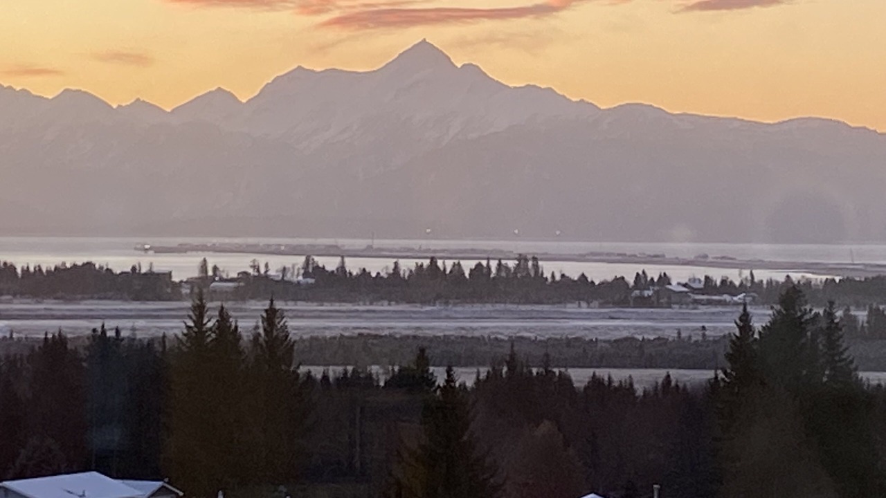 Photo of Others in Homer