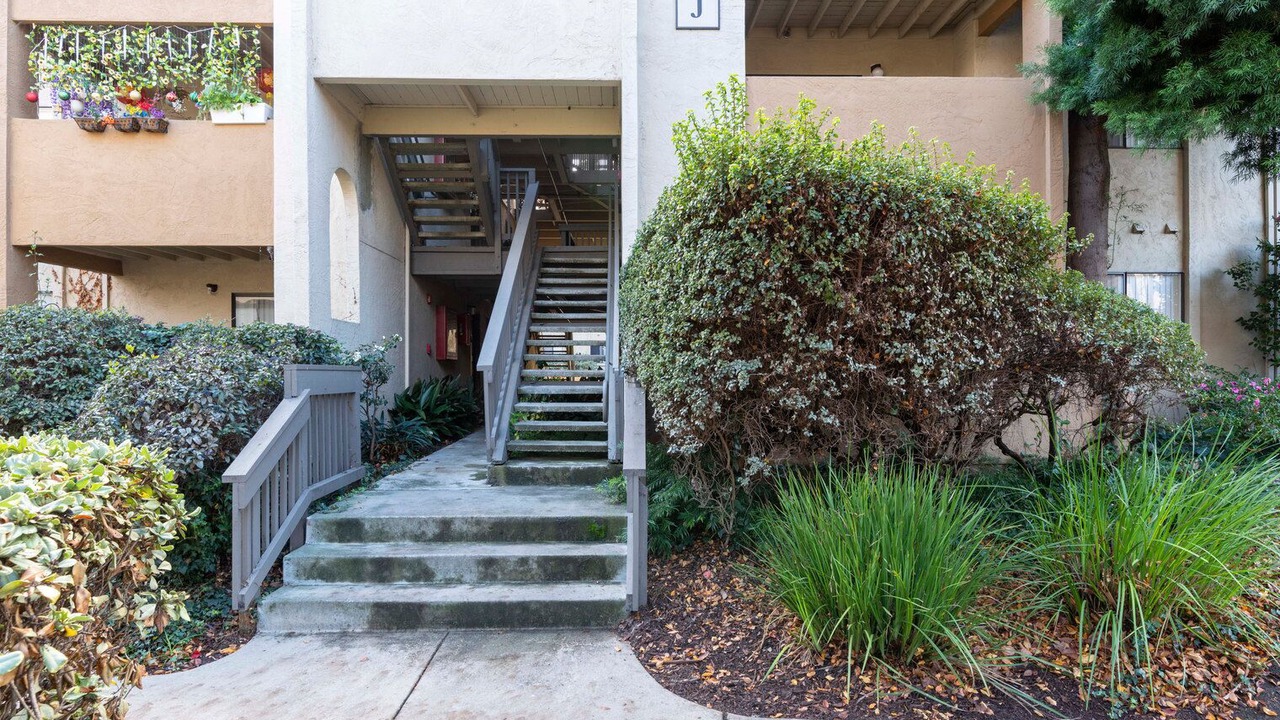 Photo of Outdoor in Shoreline West