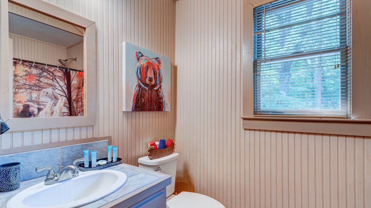 Photo of Bathroom in Ellijay