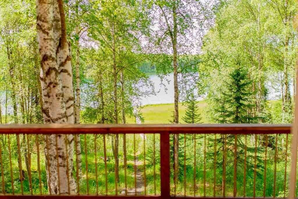 Photo of Outdoor in Susitna North