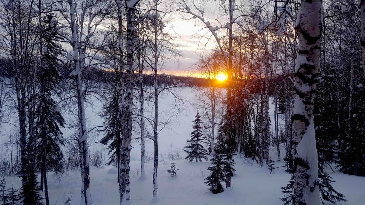 Photo of Outdoor in Susitna North