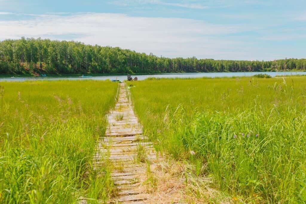 Photo of Outdoor in Susitna North