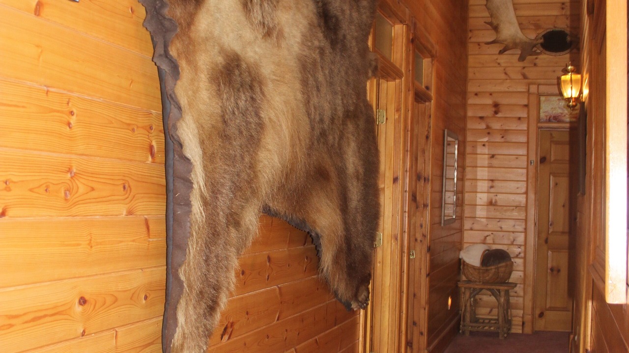 Photo of Others in Kodiak