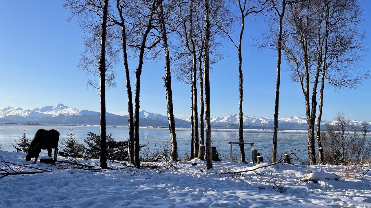Photo of Others in Homer