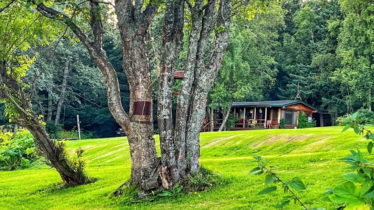 Photo of Outdoor in Homer