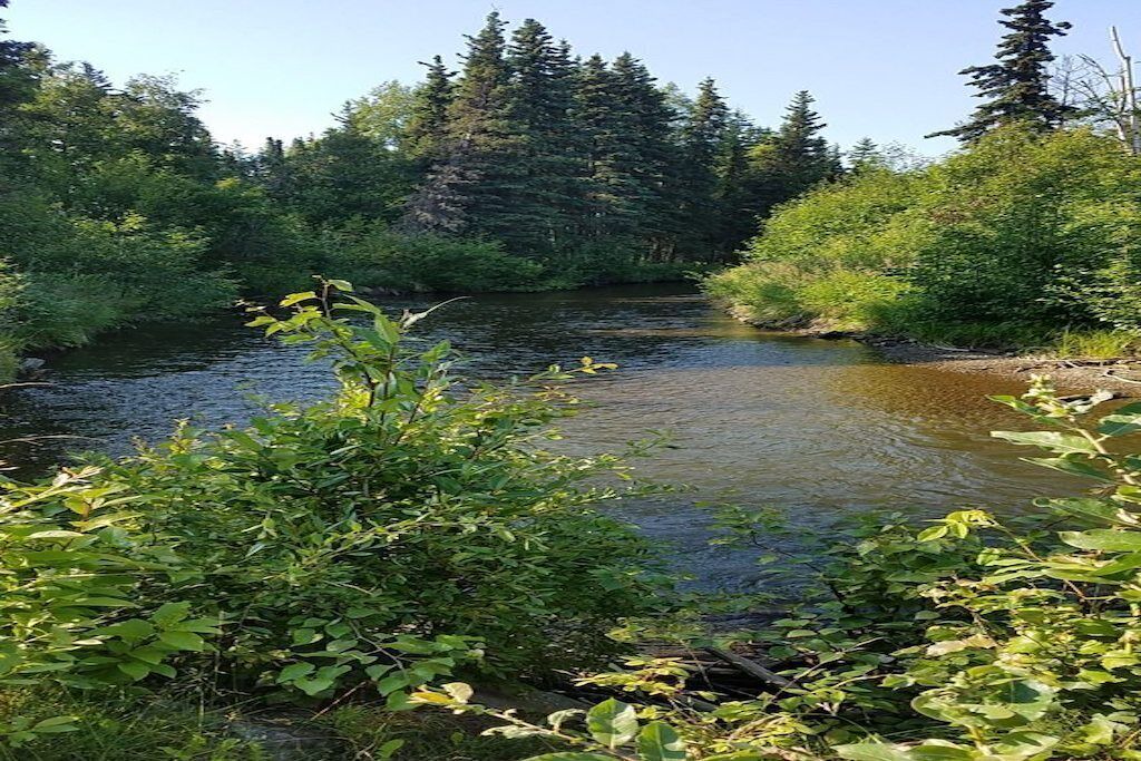 Photo of Outdoor in Sand Lake