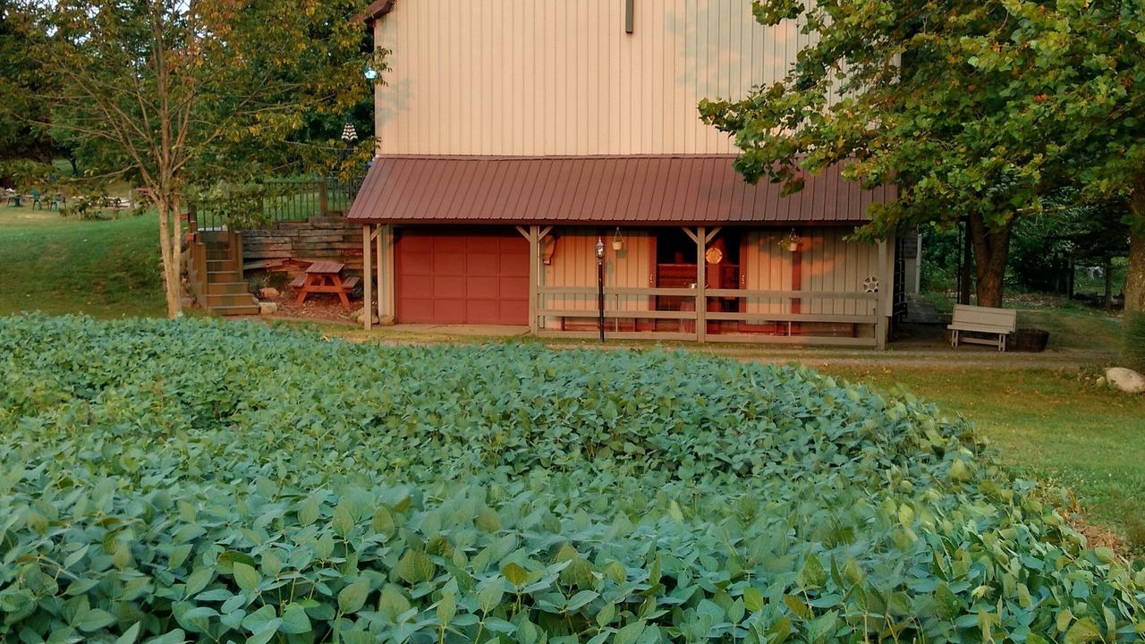 Photo of Outdoor in North Industry