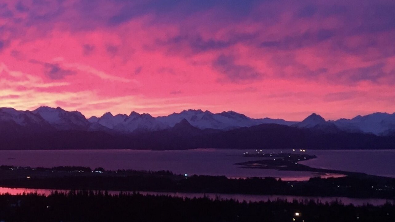Photo of Others in Homer