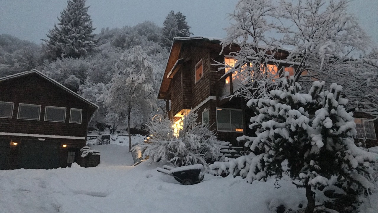 Photo of Outdoor in Homer