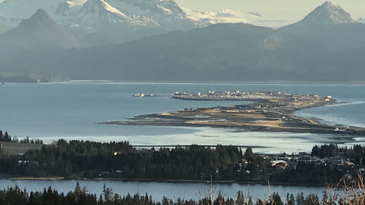 Photo of Others in Homer