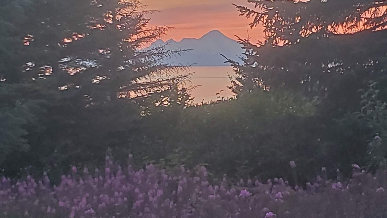 Photo of Outdoor in Diamond Ridge
