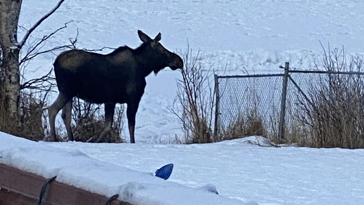 Photo of Others in Sand Lake