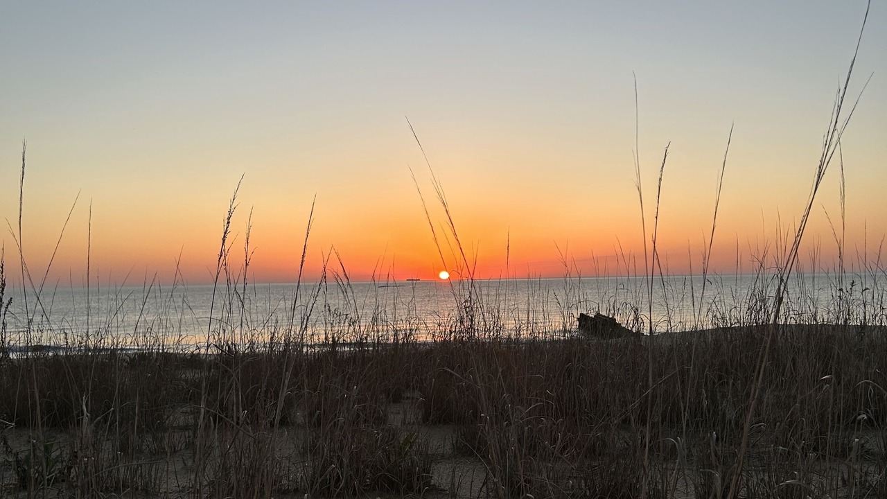 Photo of Others in Rehoboth Beach