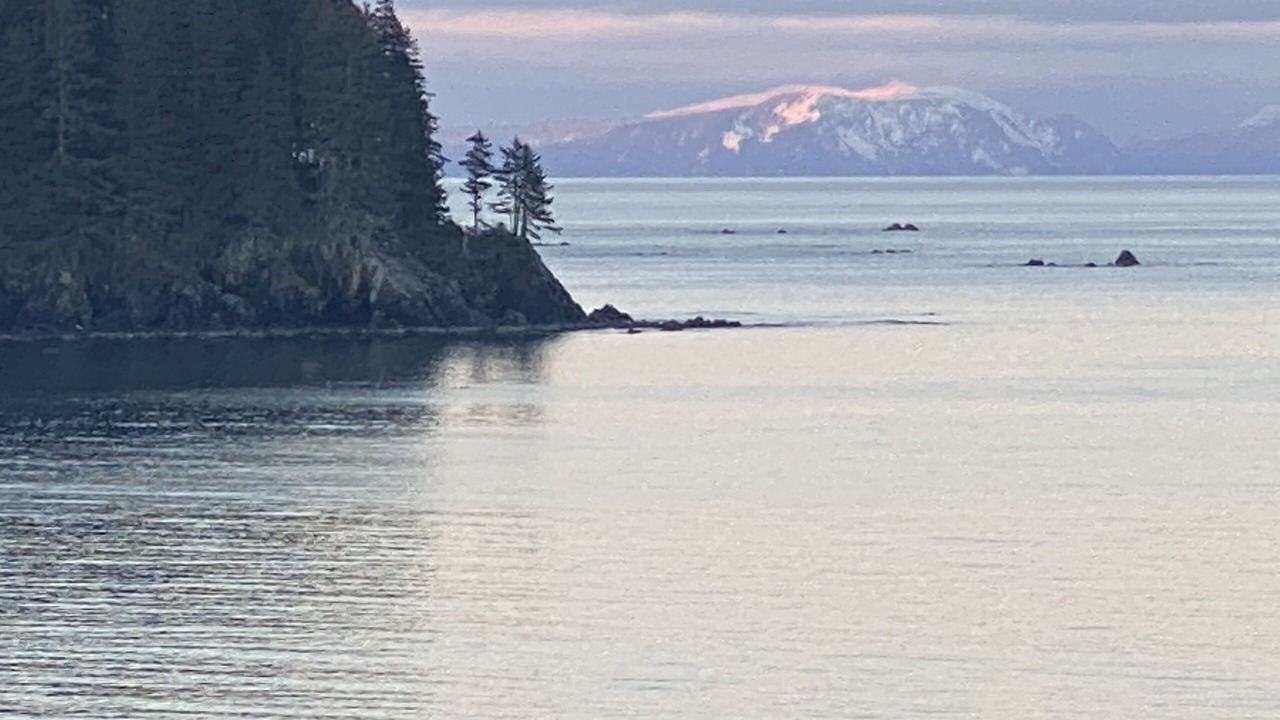 Photo of Others in Kodiak