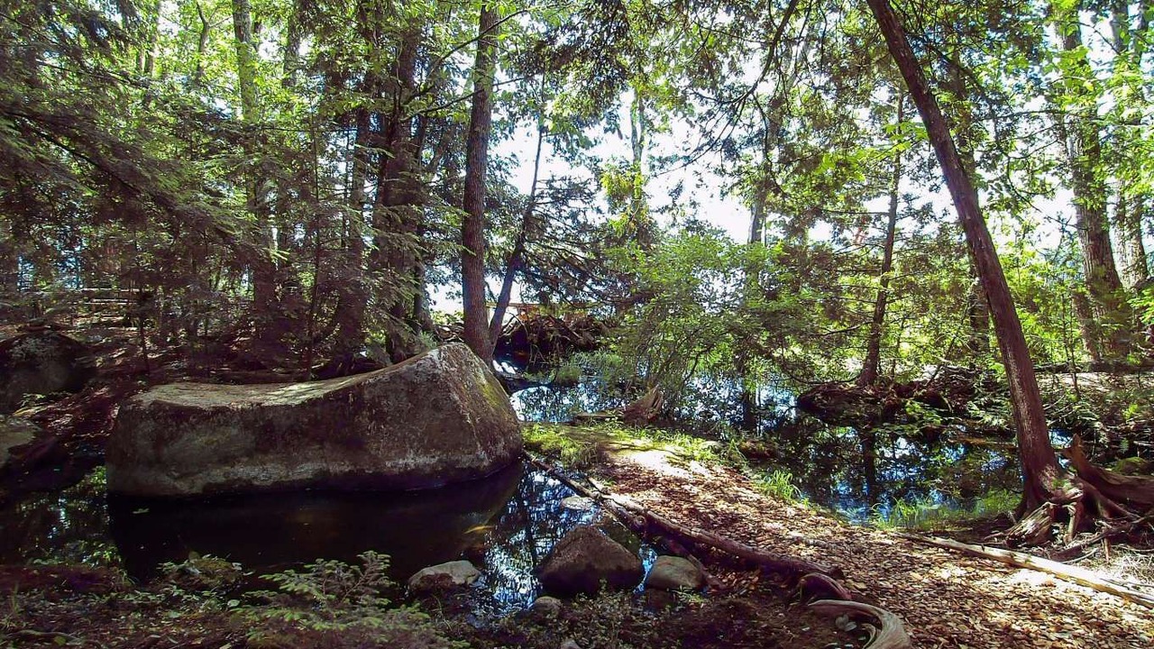 Photo of Outdoor in Newport