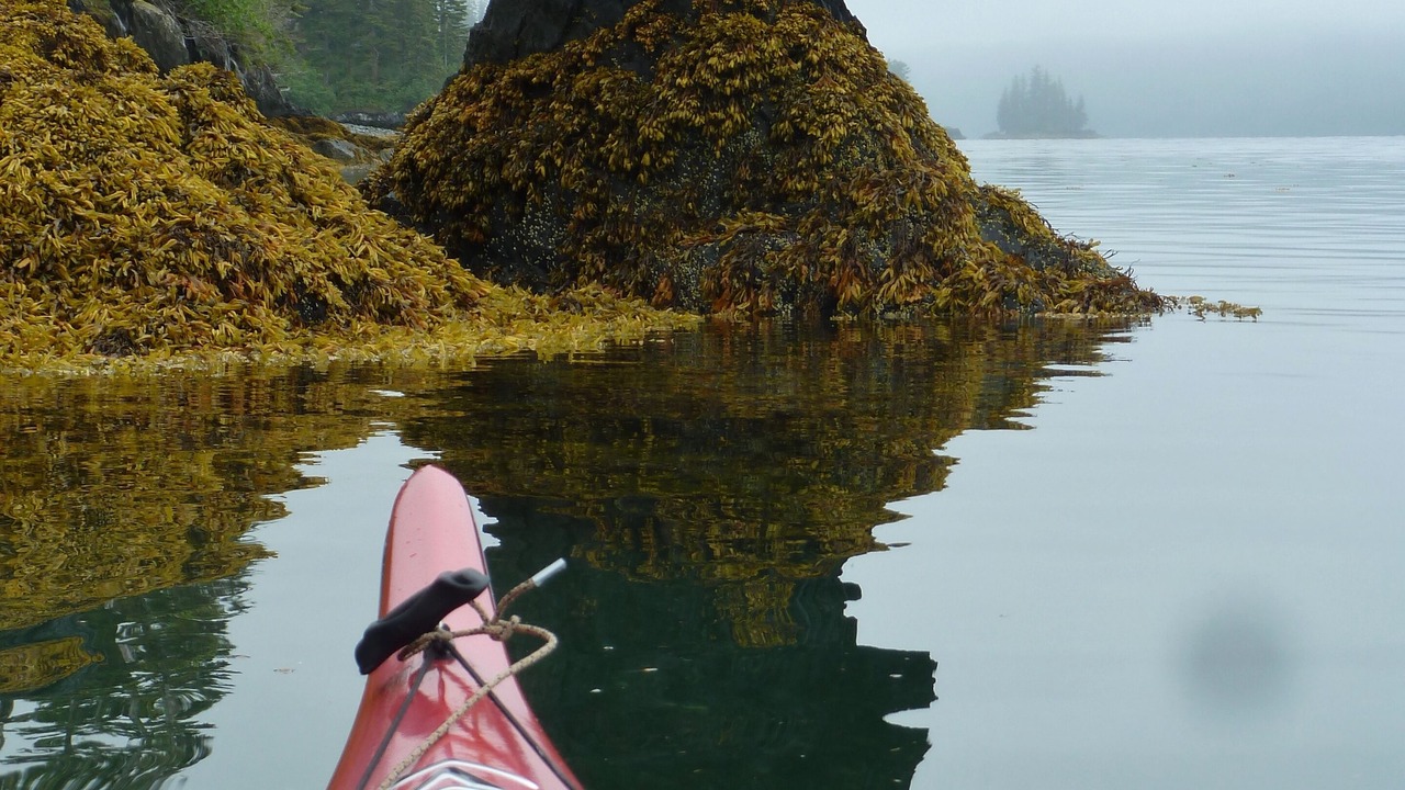 Photo of Others in Homer